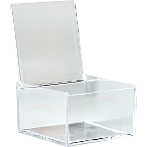 Opbevaringsbox med låg i plexiglas - Gennemsigtig