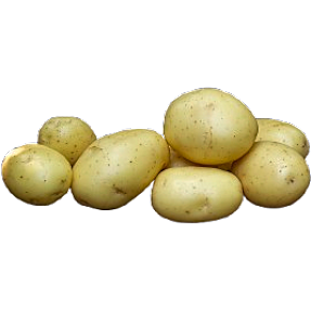 Lægge kartofler 1,5 kg - mikado