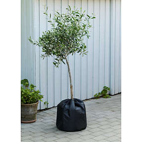 Termopose til potter