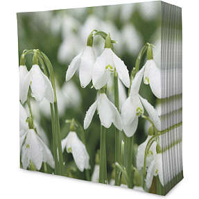 Mønstrede servietter 33x33 cm 20-pak