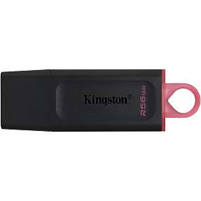 Kingston DataTraveler 256GB USB 3.2