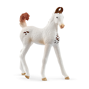 Schleich marwari-føl 14896