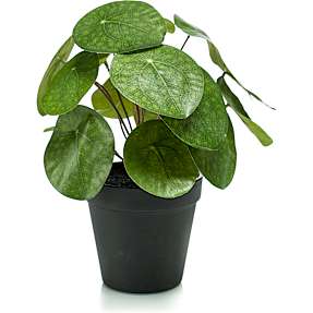 Kunstig plante - Pilea