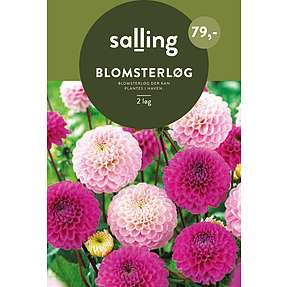 Salling blomsterløg