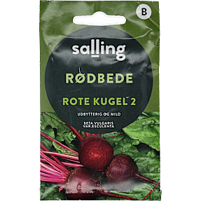 Salling rødbede, Rote Kugel 2, Beta Vulgaris Var. Esculenta