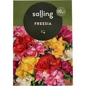 Salling blomsterløg Freesia