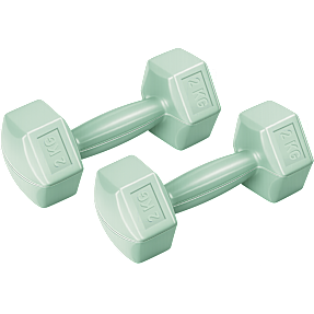 Active Sports Gear håndvægt Pro 2 kg - 2-pak