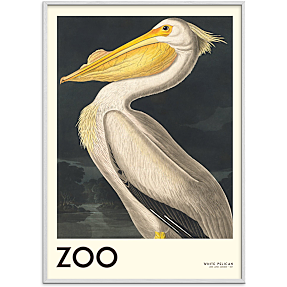 The Zoo Collection Pelican - 70x100 cm