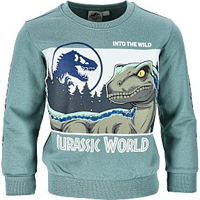 Jurassic World sweatshirt str. 98/104 - grøn