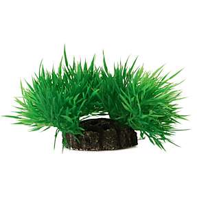 Akvarieplante