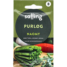 Salling purløg, Naomy, Allium Schoenoprasum
