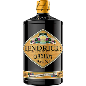 Gin