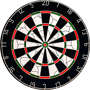Bull's Bristol dartskive med pile