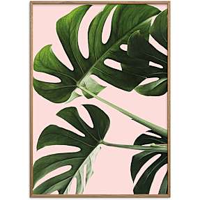 Monsteras in pink - 70x100 cm