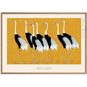 Japanese Red Crown Crane - 70x100 cm