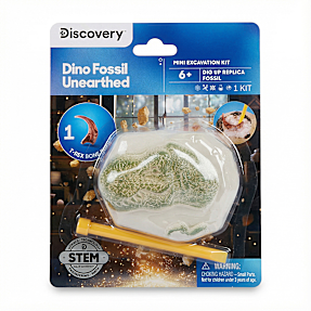 Discovery dinosauer fossiler
