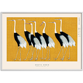 Japanese Red Crown Crane - 30x40 cm