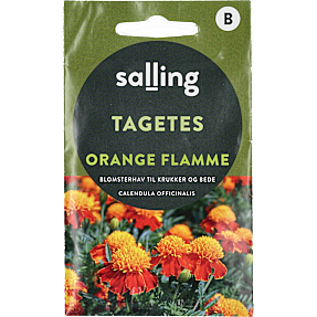 Salling tagetes, Orange Flamme, Tagetes Patula Nana