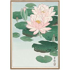 Water lilies, japansk - 30x40 cm