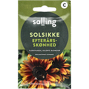 Salling solsikke, Efterårsskønhed, Helianthus Annuus