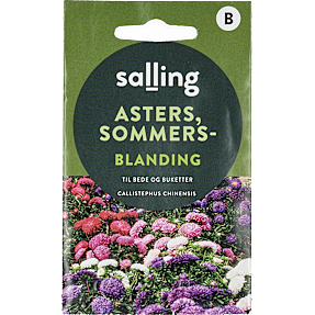 Salling sommerasters, blanding, Callistephus Chinensis