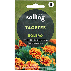 Salling tagetes, Bolero, Tagetes Patula Nana