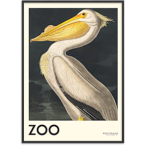 The Zoo Collection Pelican - 30x40 cm