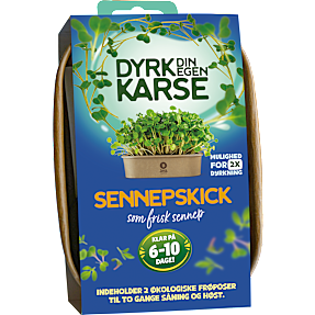 Karse, Sennepskarse, dyrkesæt
