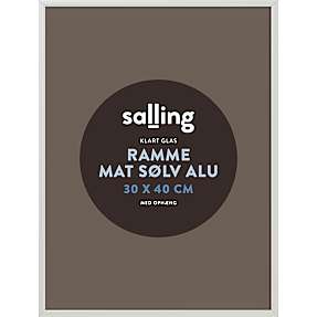 Mat sølvfarvet ramme m. glas - 30x40 cm