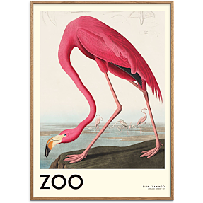 The Zoo Collection Flamingo - 30x40 cm