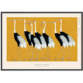 Japanese Red Crown Crane - 50x70 cm