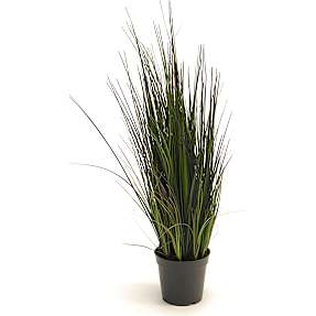 Kunstig søgræs plante