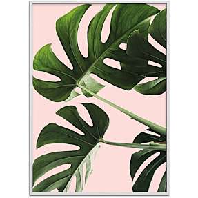 Monsteras in pink - 30x40 cm