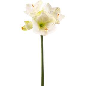Kunstig blomst Amaryllis 62 cm - hvid/grøn