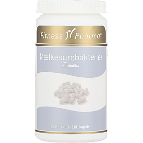 Mælkesyrebakterier