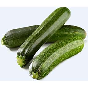 Økologisk squash, 11 cm potte