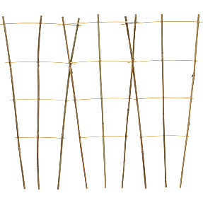 Espalier bambus 3 stk.