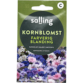 Salling kornblomst farverig blanding, Centaurea Cyanus