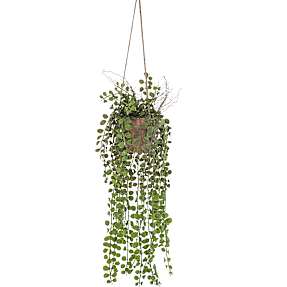 Kunstig hængende plante - Ficus pimula