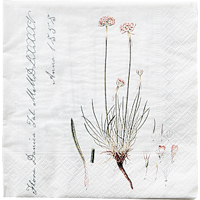 Flora Danica mønstrede servietter 33x33 cm 20-pak