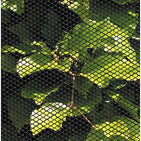 Insektnet plast 1,2 x 2,5 m - sort