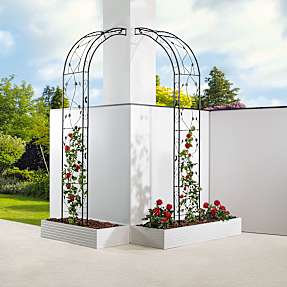 HORTUS rosenbue sort