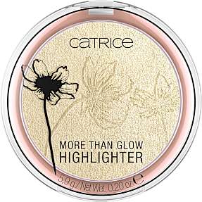 Highlighter 010 Ultimate Platinum Glaze