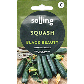 Salling squash, Black Beauty, Cucurbita Maxima Duchesne