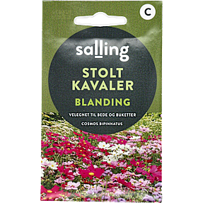 Salling stolt kavaler, blanding, Cosmos Bipinnatus