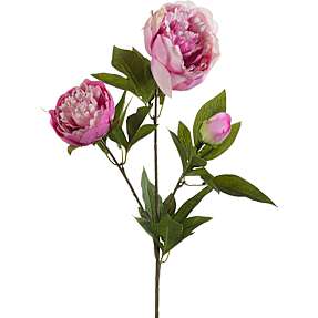 Pæon lilla kunstig blomsterstilk