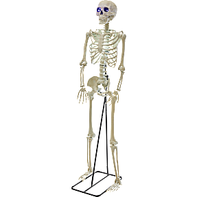 Halloween skelet med LED øjne H: 212 cm - hvid