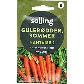 Salling sommergulerødder, Nantaise 2, Daucus Carota SSP. Sativus