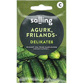 Salling frilands agurk, Delikatess, Cucumis Savitus L.