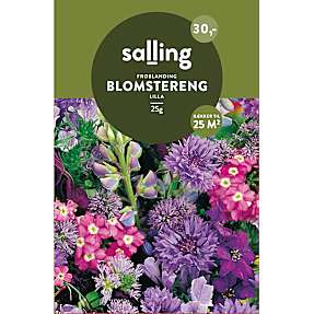 Salling frøblanding Blomstereng -  lilla